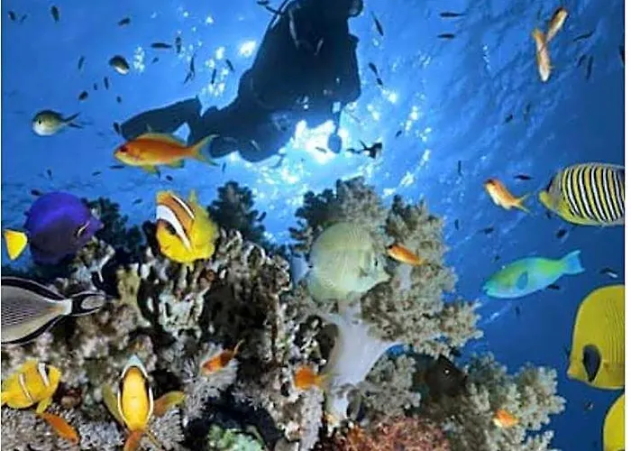 - Porto Sheikh - 61205 B Hotel Sharm El-Sheikh